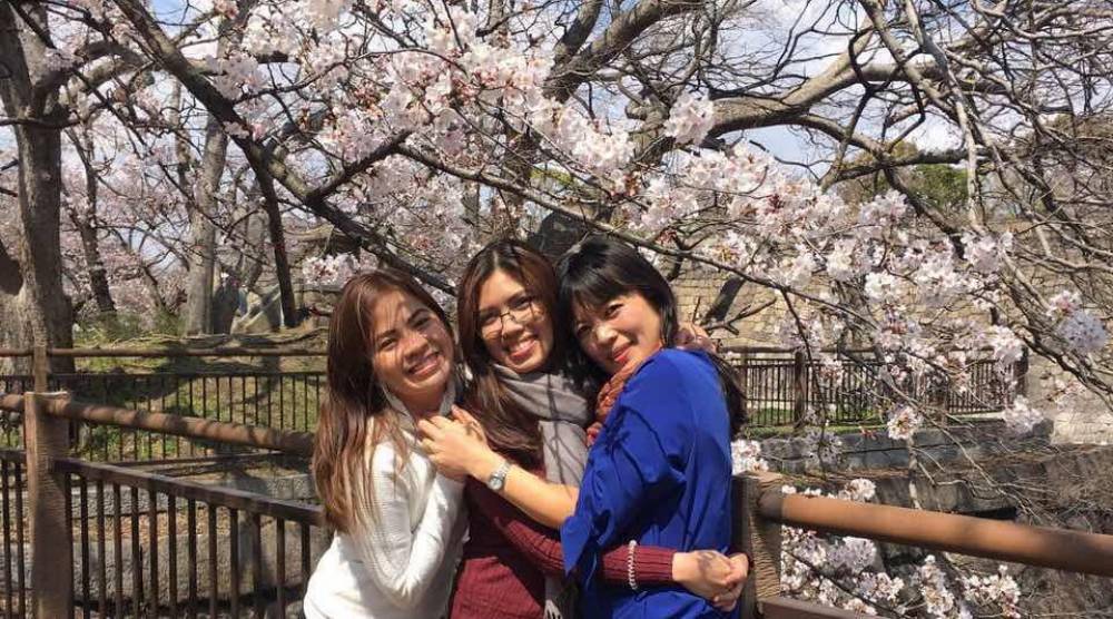 Top 8 Cherry Blossom Viewing in Kansai (Osaka, Kyoto, Nara and Hyogo)? 