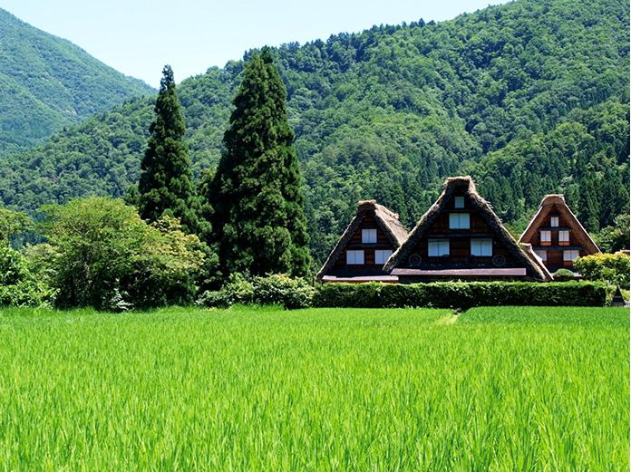 Central Japan with JR Central Pass Tour Package 6D5N [Free & Easy]