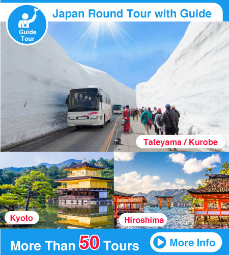 japan tour
