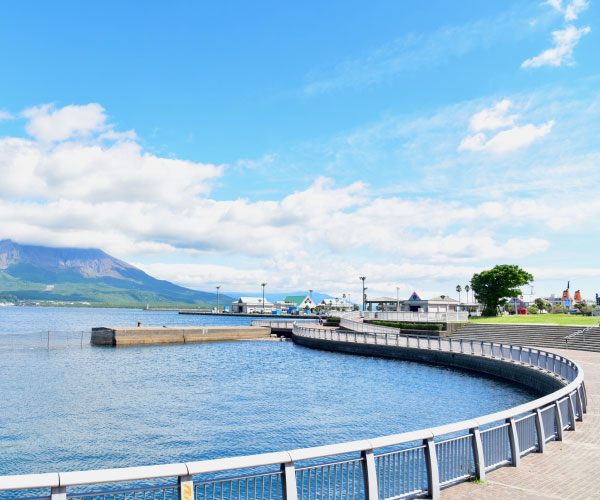 錦江湾沿岸の道沿い