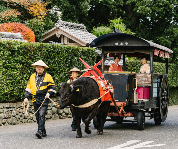 Izumi sightseeing oxcart