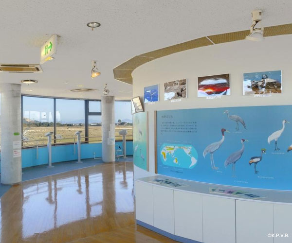 Izumi City Crane Observation Center