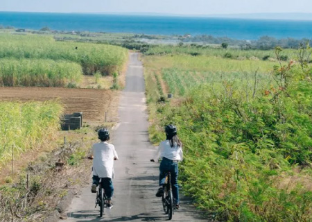 奄美リゾート 伝泊Beachfront MIJORA 島体験プログラム