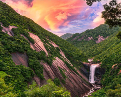 屋久島 世界自然遺産巡りツアー4日間