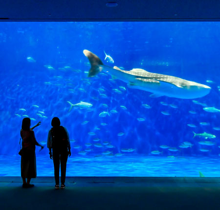 Io World Aquarium