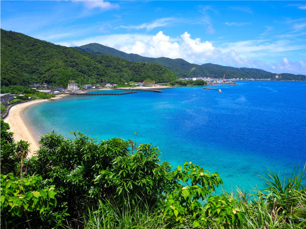 奄美大島の美しい自然