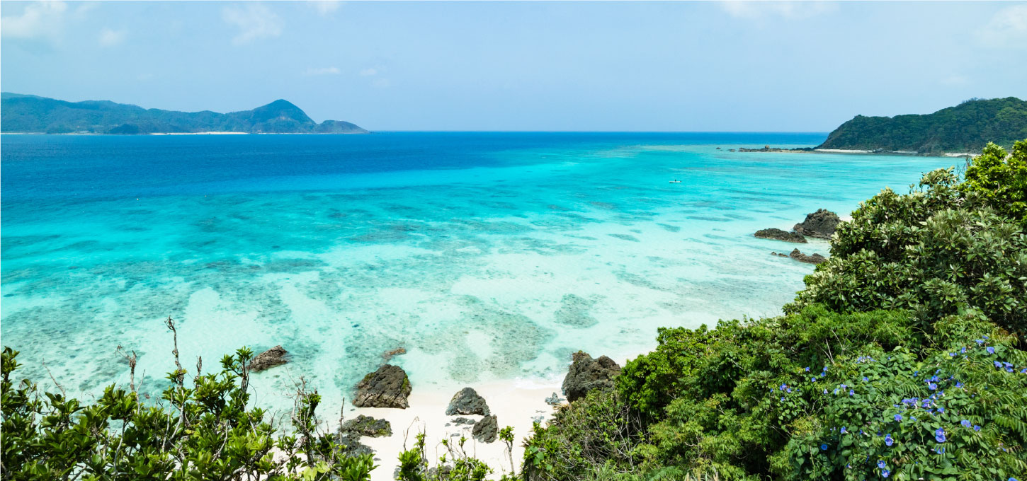 奄美大島:アマミブルーの海